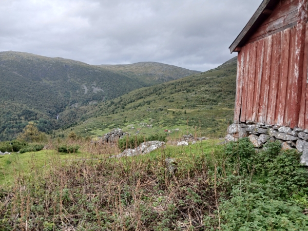 Almboden oberhalb von Laerdal 2024