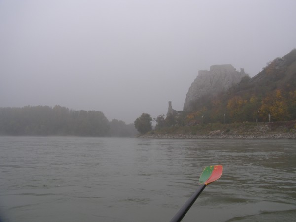 Muendung der March in die Donau D09